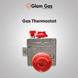 30 Gallon Electric + Gas Geyser | Stainless Steel & Color Body